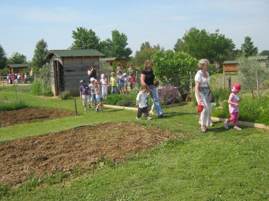 Sortie des Maternelles 2011