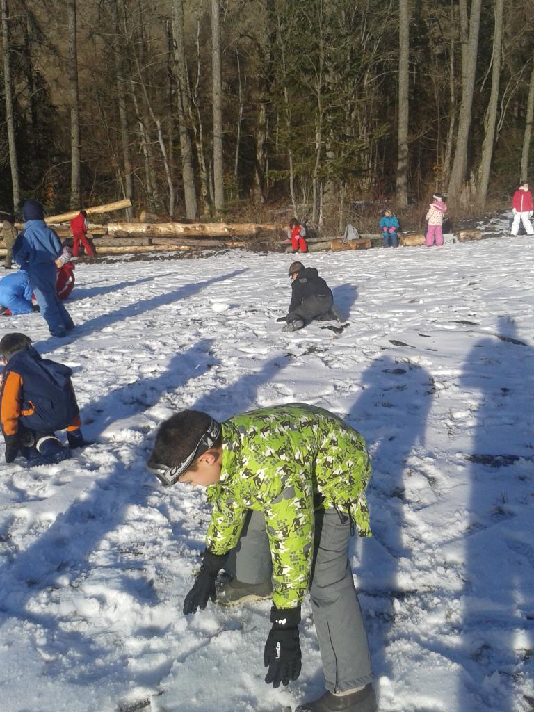 Ancelle 2014