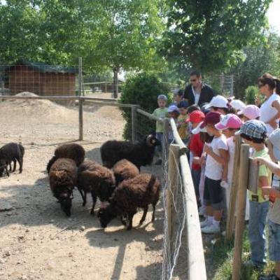 Sortie des Maternelles 2011