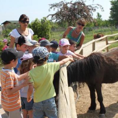 Sortie des Maternelles 2011