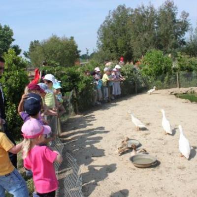 Sortie des Maternelles 2011