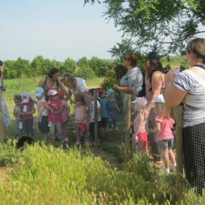 Sortie des Maternelles 2011