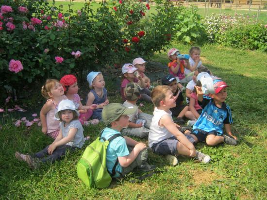 Sortie des Maternelles 2011