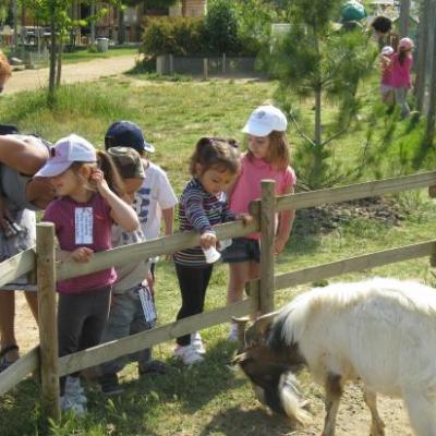 Sortie des Maternelles 2011