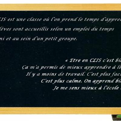 Témoignage CLIS 1